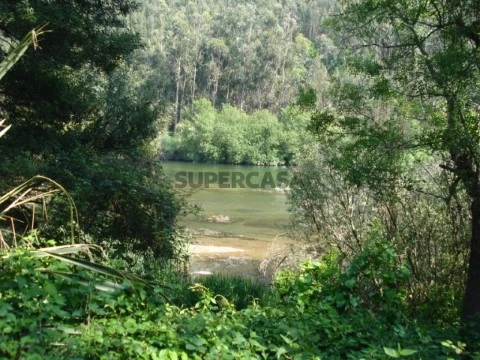 quinta (3)