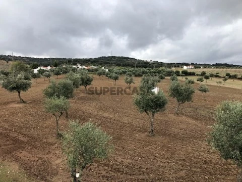 Quinta T4 Duplex em Santo Aleixo, Monforte