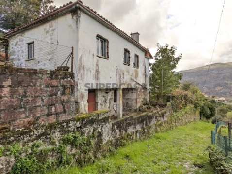 paradamonte (22)