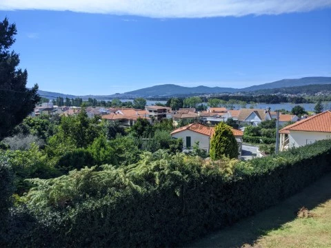 Vista