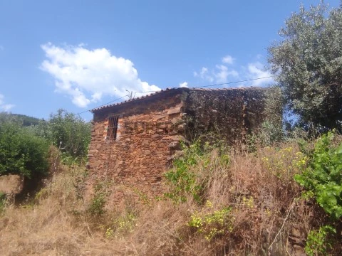 Terreno Rústico em Montes da Senhora, Proença-a-Nova