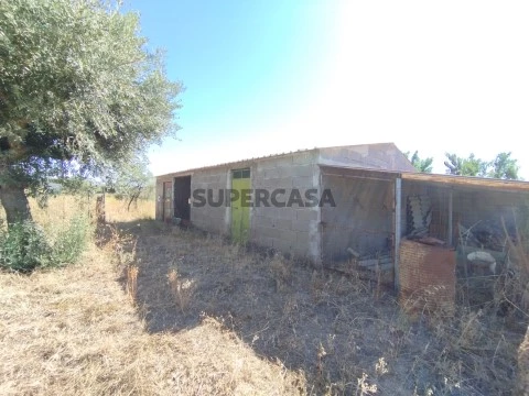Quintinha construção