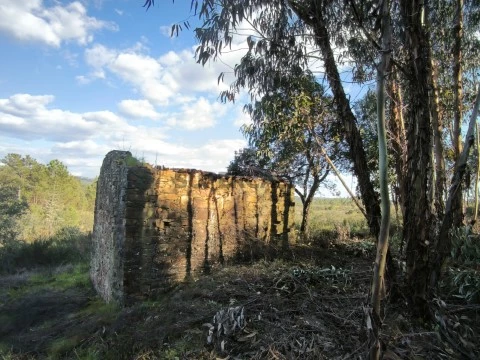 Quinta Rural em EM548, Sarzedas, Castelo Branco