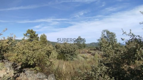 Terrenos