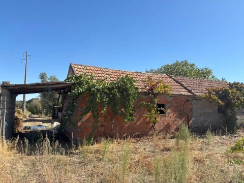 Quinta