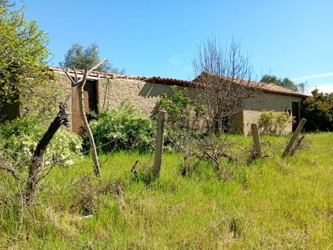 Landhaus 1 Zimmer auf Rua do Olival, Freixial e Juncal do Campo, Castelo Branco
