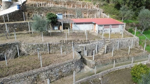 Quintinha