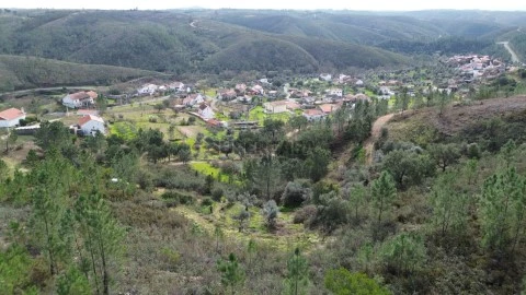 DJI_0040