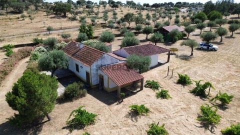 DJI_0648