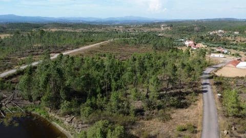 DJI_0635