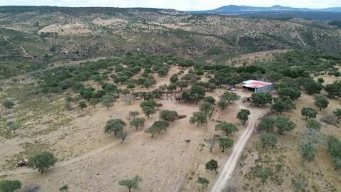 DJI_0697