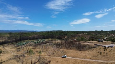 DJI_0829