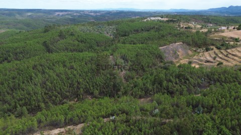 DJI_0848