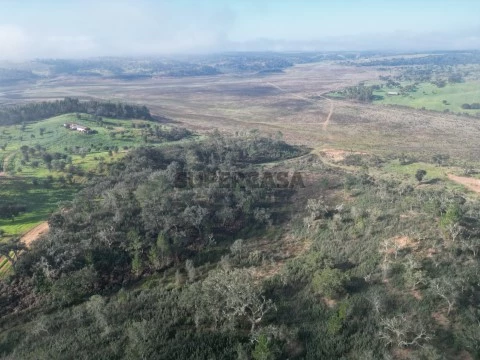 vista aérea 1
