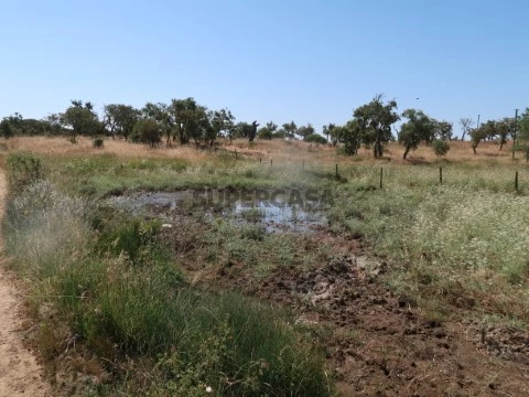 Terreno