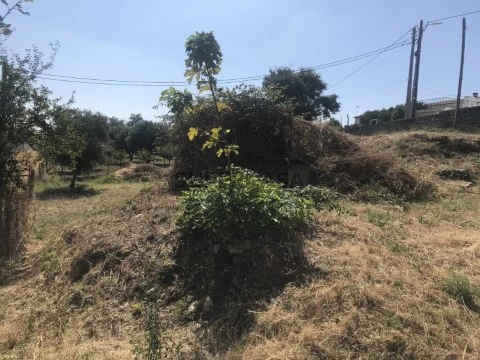 Grundstück auf Carregueiros, Tomar