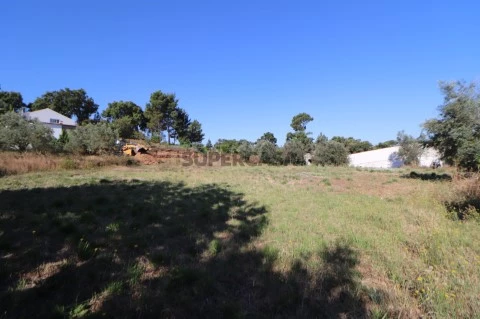 Terrain plat