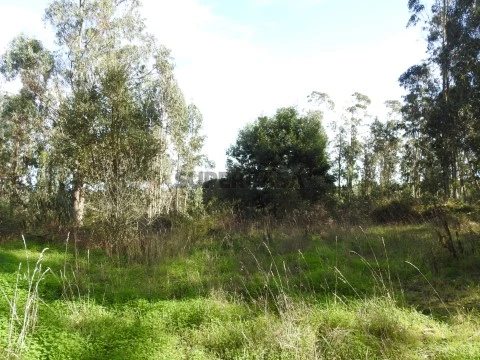 terreno c/ 7.200 m2