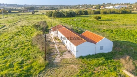 Terreno