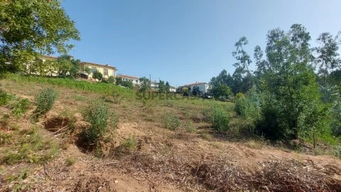 TERRENO, EM SÃO BRÁS, TELÕES - AMARANTE
