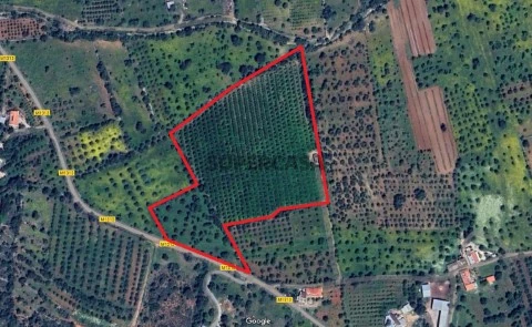 Rustieke Terreinen Op EM1313, Moncarapacho, Olhão