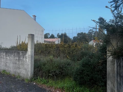 Lote Esgueira1