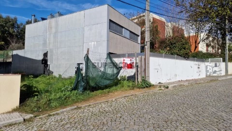 20240311_154203