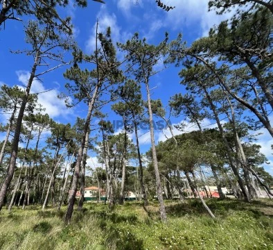 Terreno Urbano com 5.200 m² no Banzão - Colares, Sintra
