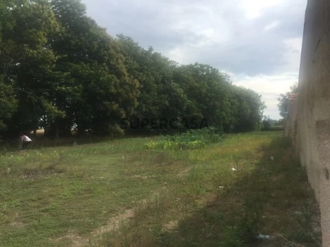 Terreno