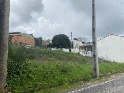 Terreno