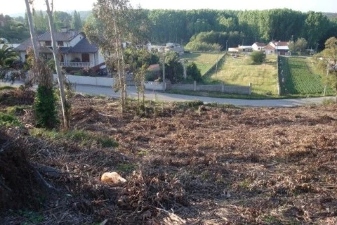 Terreno em Aguada de Cima, Águeda