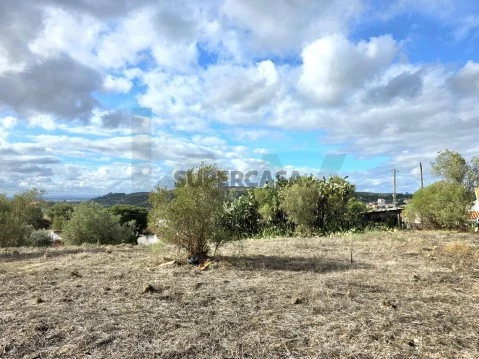 Terreno em Carregueira, Chamusca