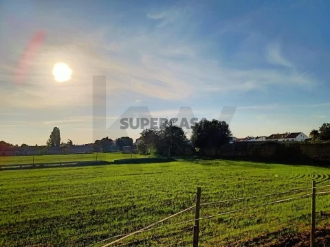Terreno na Golegã, Golegã