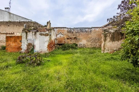 Terreno em Cartaxo e Vale da Pinta, Cartaxo