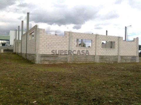 Imagem0020