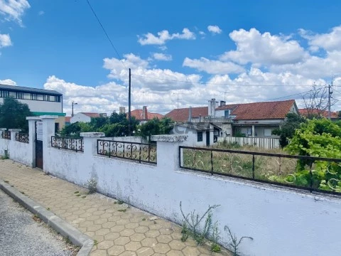 Terreno