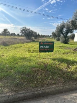 Lote para Construção em Pego, Abrantes