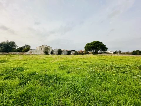 Terreno
