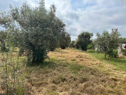 Terreno Urbano na Rua da Roseira, Pego, Abrantes