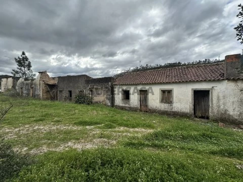 Quinta