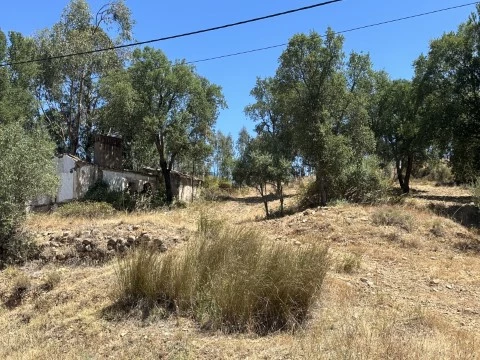 Quinta T5 em Abrantes (São Vicente e São João) e Alferrarede, Abrantes