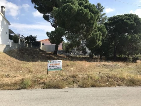 Terreno