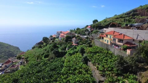 Terreno para construção de moradias com vista mar na Ribeira Brava