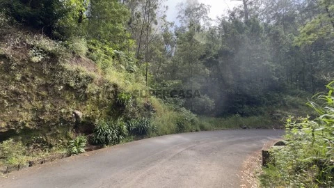 Terreno rústico no Caminho dos Pretos | Funchal