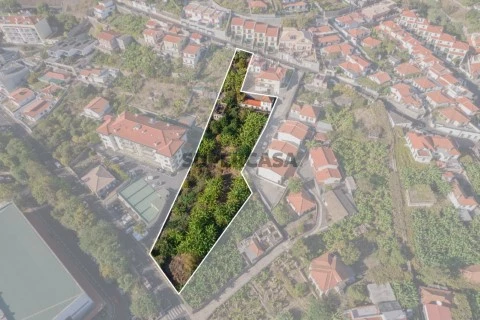 Terreno com 2890m2 - São Roque, FunchalTerreno com 2890m2 - São Roque, Funchal
