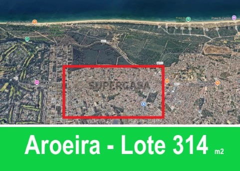 aroeira 314
