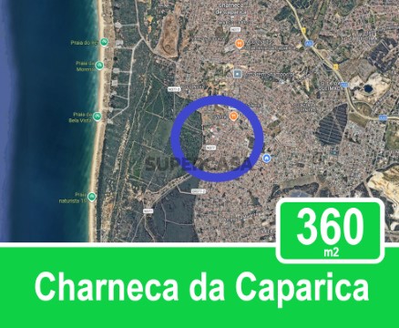 CC 360