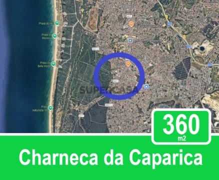 CC 360