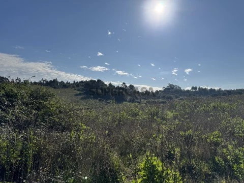Terreno