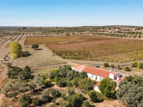 Vista Aérea